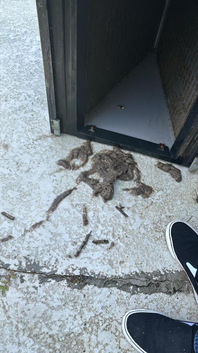 Common AC Problems and Their Solutions