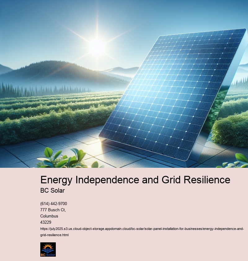 Energy Independence and Grid Resilience