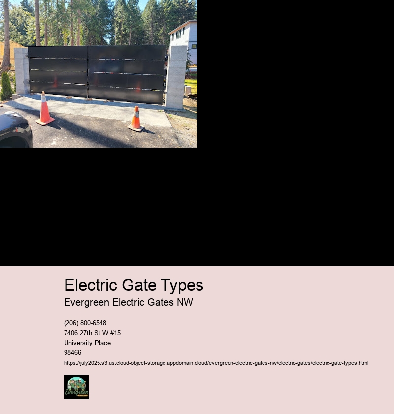 Electric Gate Types