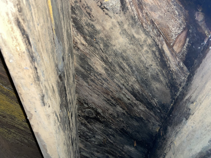 Long-Term Mold Prevention Strategies