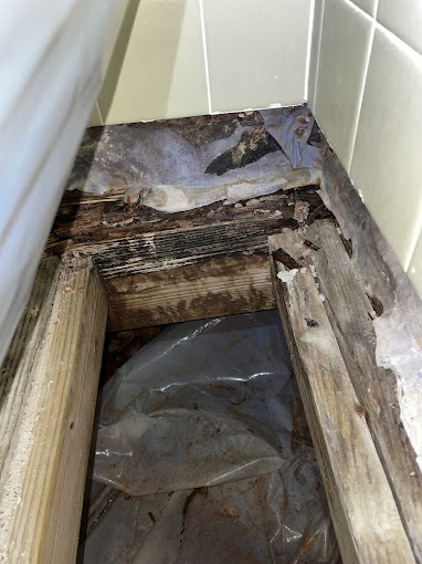 Preventing Future Moisture Problems: Ventilation and Air Sealing