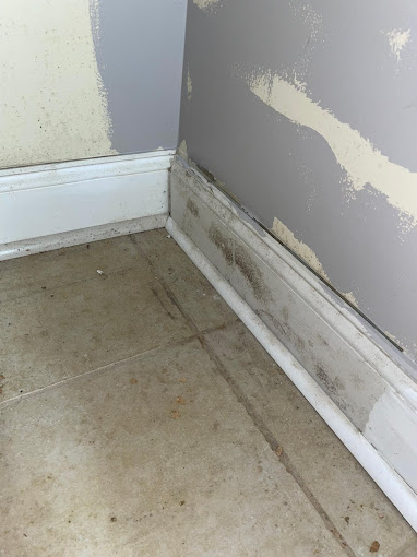 Basements and Crawl Spaces: High Humidity and Leaks