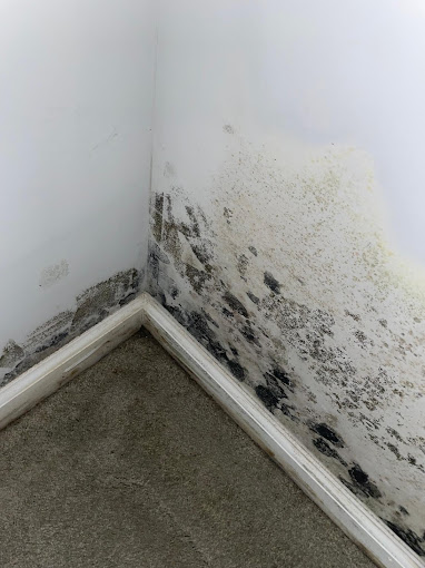 Maintaining Optimal Indoor Humidity Levels