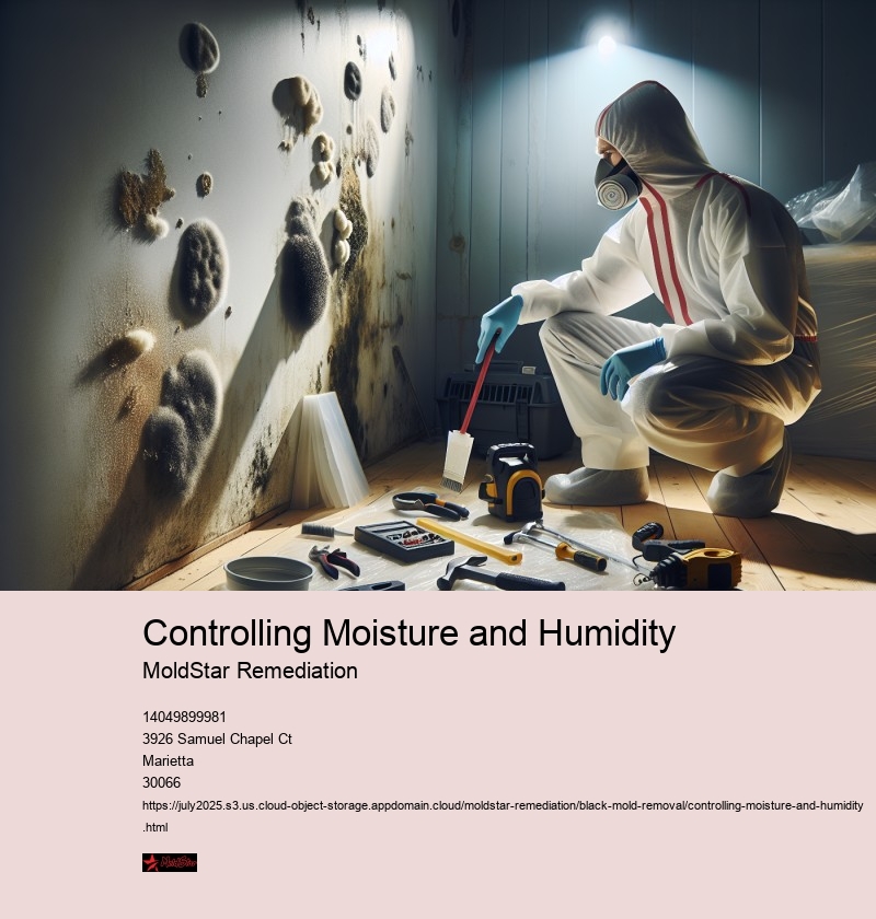 Dehumidification Strategies for Mold Remediation