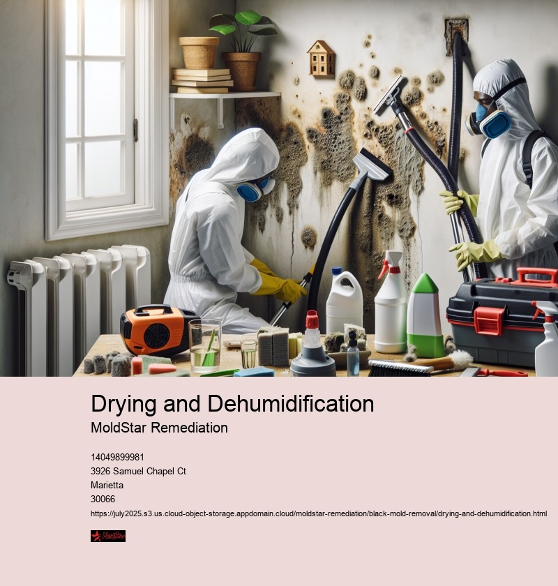 Drying Techniques for Effective Mold Remediation