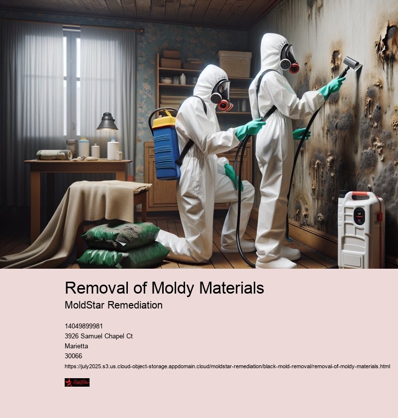 Specific Procedures for Removing Mold from Different Materials (Drywall, Wood, Carpet, etc.)