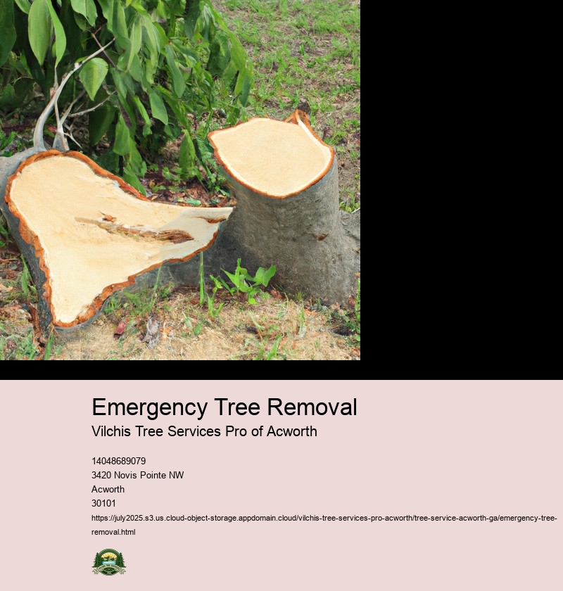 Emergency Tree Removal
