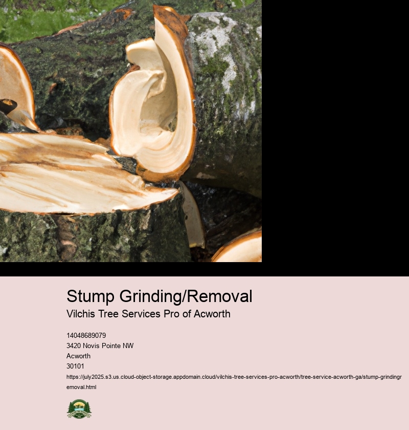 Stump Grinding/Removal