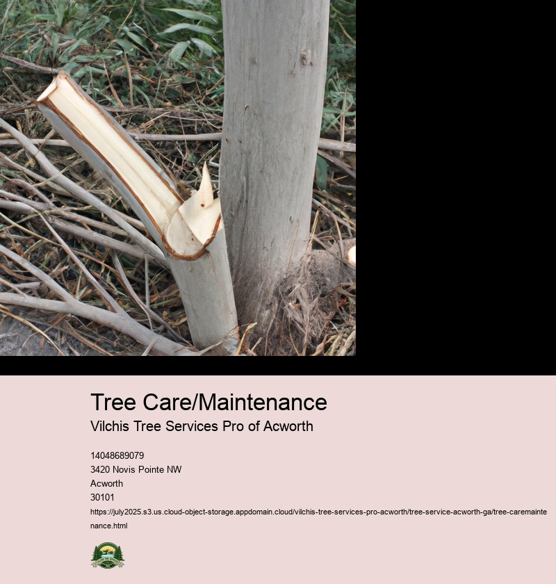 Tree Care/Maintenance