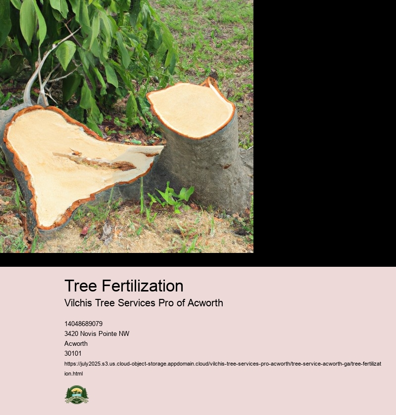 Tree Fertilization
