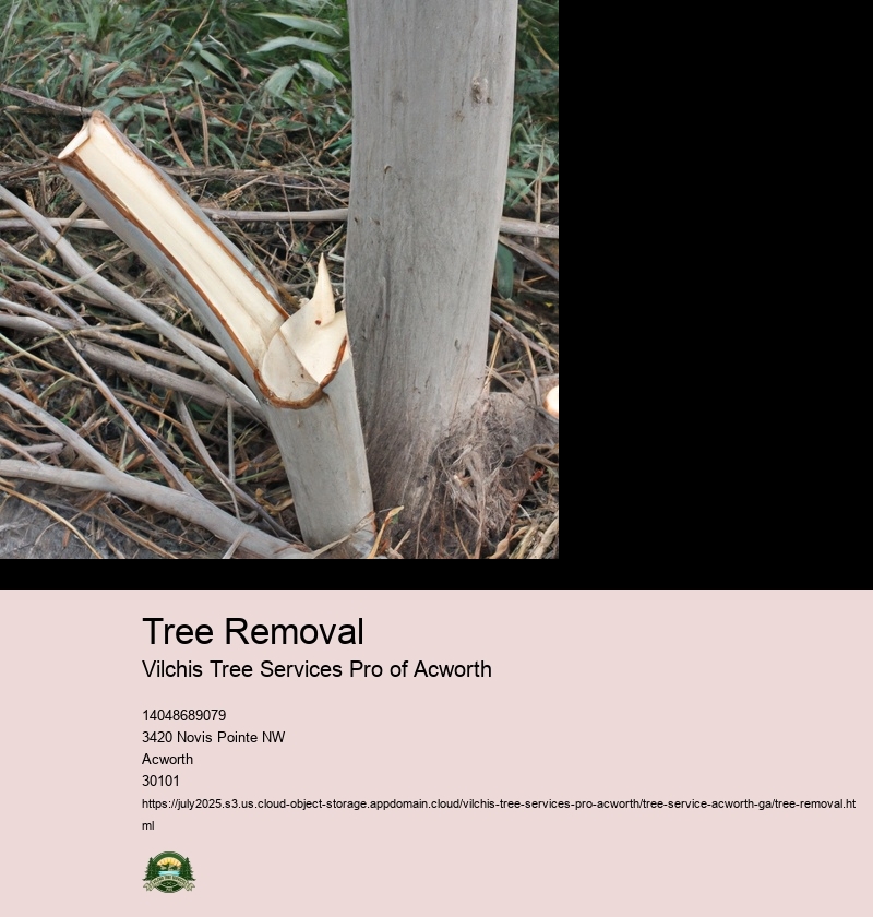 Tree Removal