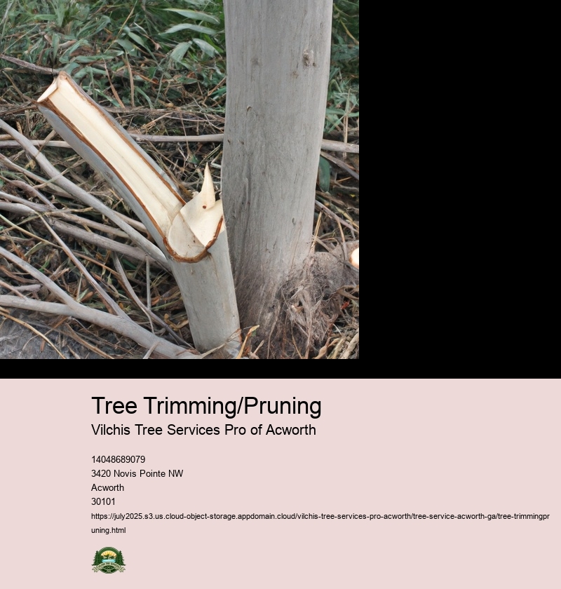 Tree Trimming/Pruning